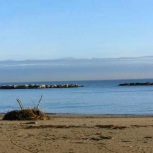 The Sea in Winter The Sea in Winter