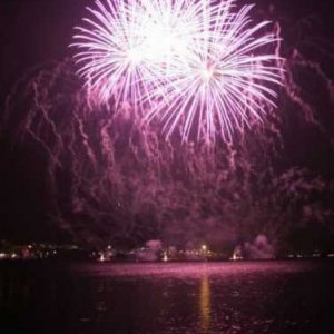 The Pink Night The Pink Night